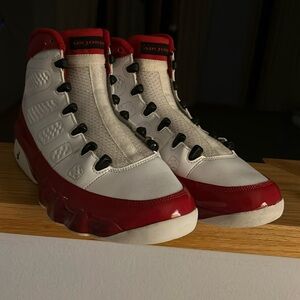 Jordan shoes 9 retro gym